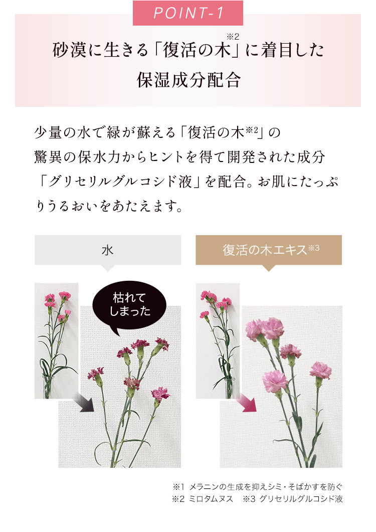 POINT1 砂漠に生きる「復活の木」に着目した保湿成分配合