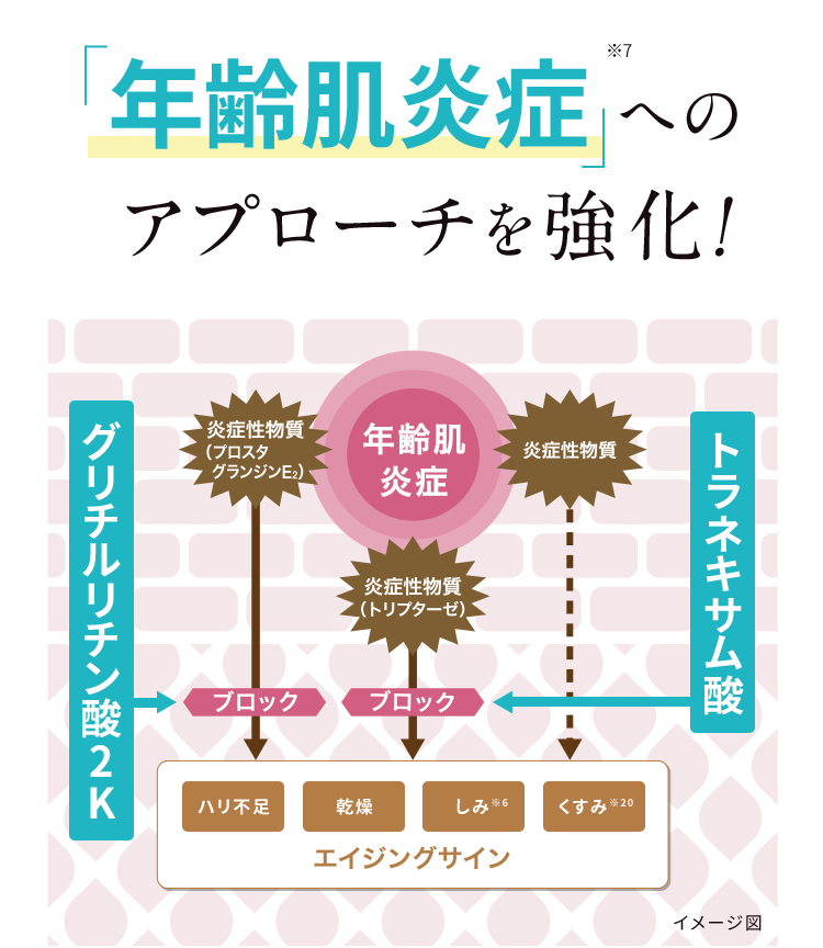 「年齢肌炎症」※7へのアプローチを強化！※5