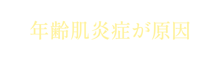 こんなお悩みは年齢肌炎症が原因かもしれません