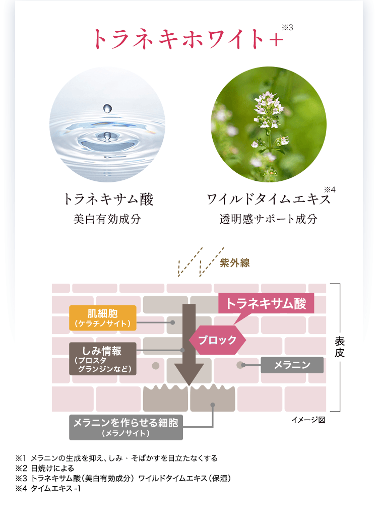 トラネキホワイト+ トラネキサム酸:美白有効成分 ワイルドタイムエキス:透明感サポート成分