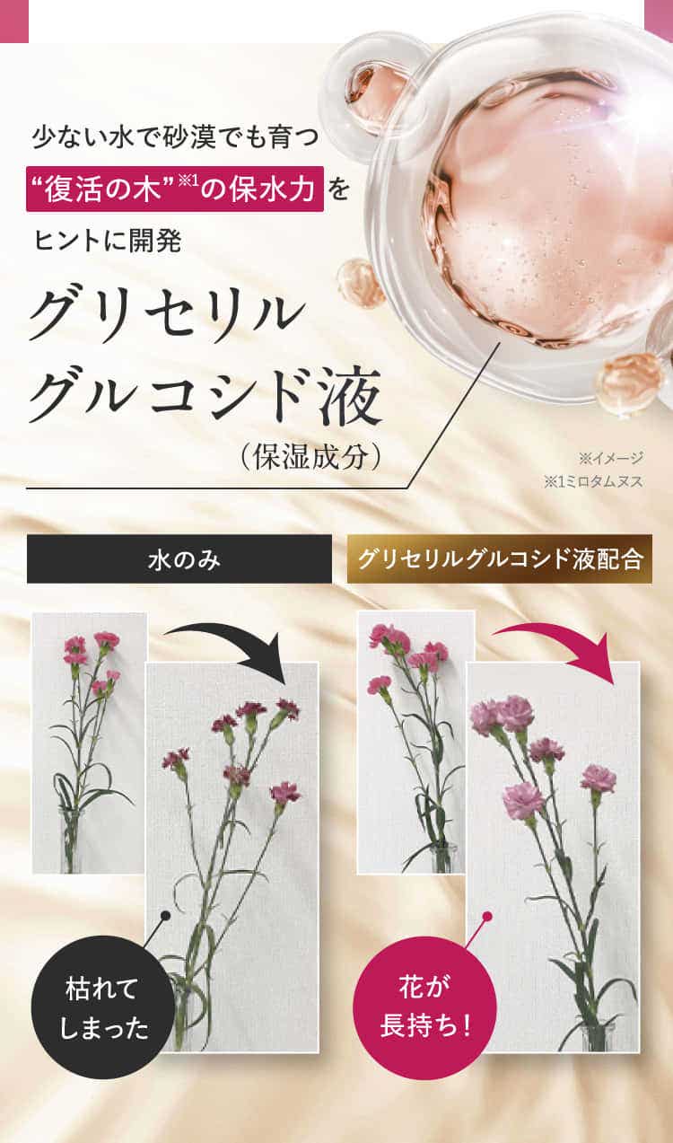 グリセリルグルコシド液