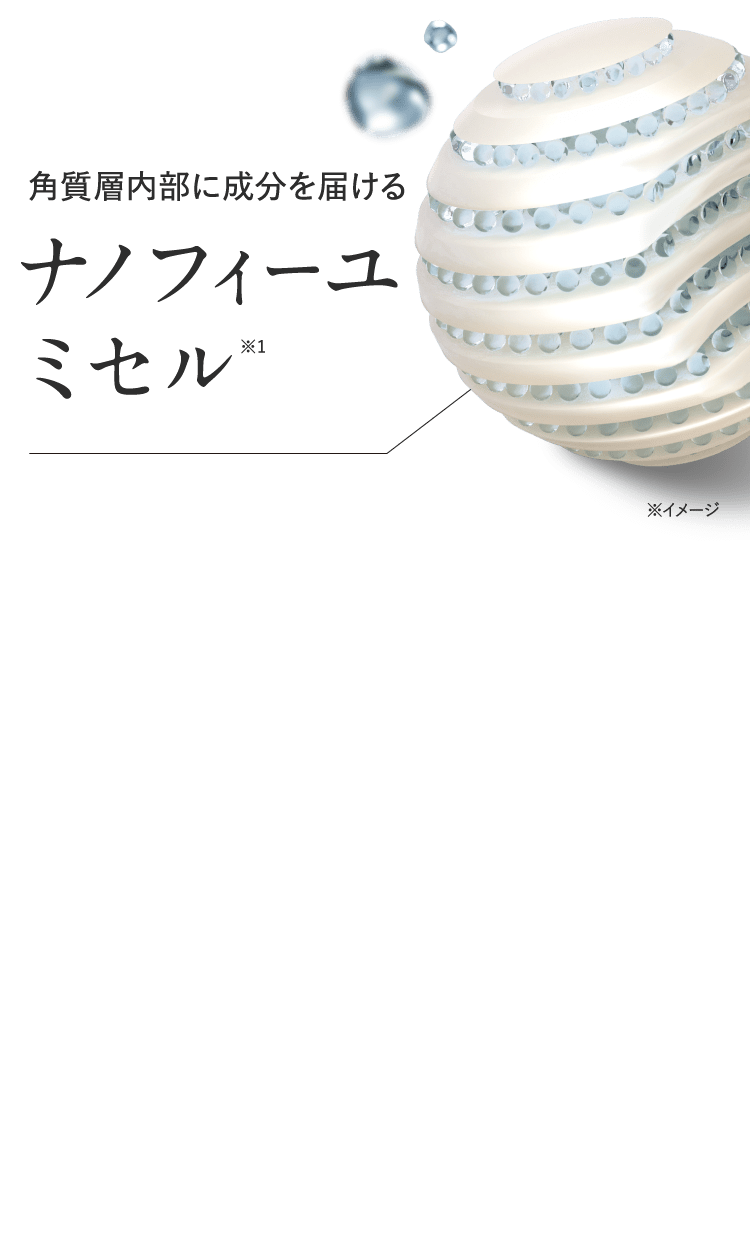 ナノフィーユミセル