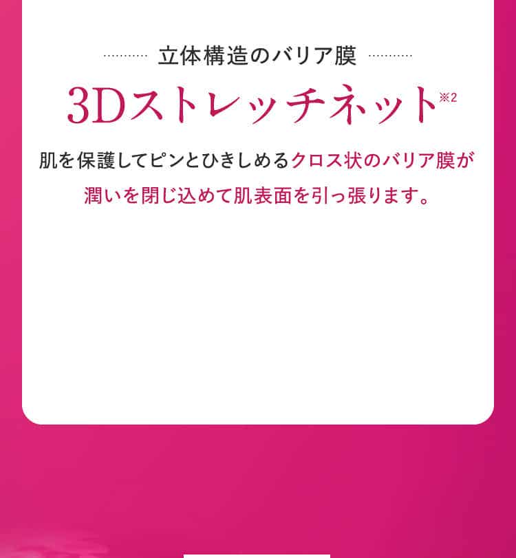 3Dストレッチネット