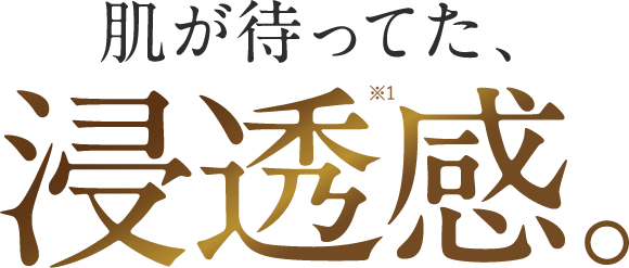 肌が待ってた、浸透感。
