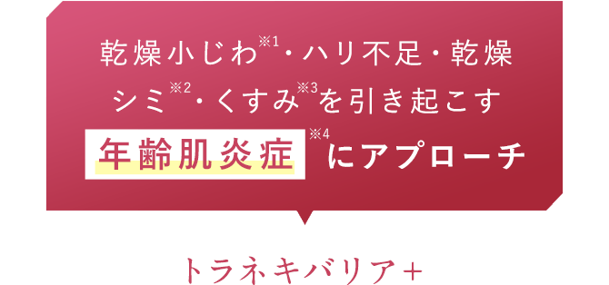 乾燥小じわ※1・ハリ不足・乾燥 シミ※2・くすみ※3を引き起こす 年齢肌炎症※4にアプローチ トラネキバリア＋