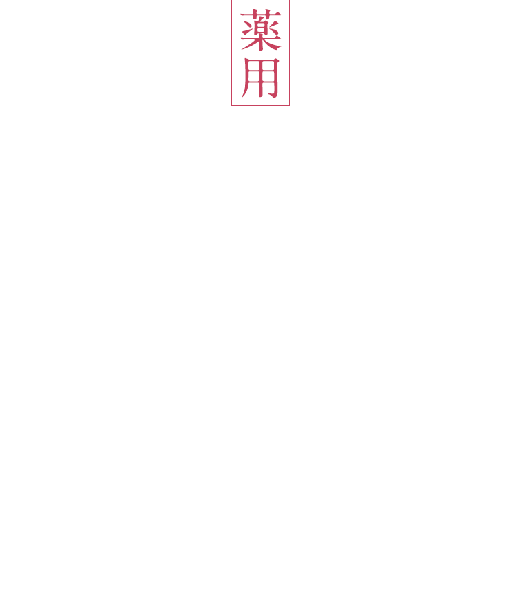 年齢肌炎症※1に着目し、薬用エイジングケア※2を開発しました すべて医薬部外品 ※アイゾーン ダブルリバイタライザーを除く