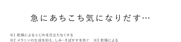 急にあちこち気になりだす… ※1 乾燥による小じわを目立たなくする ※2 メラニンの生成を抑え、しみ、そばかすを防ぐ ※3 乾燥による