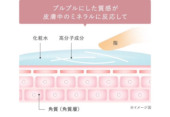 ※イメージ図：プルプルした質感が皮膚中のミネラルに反応して