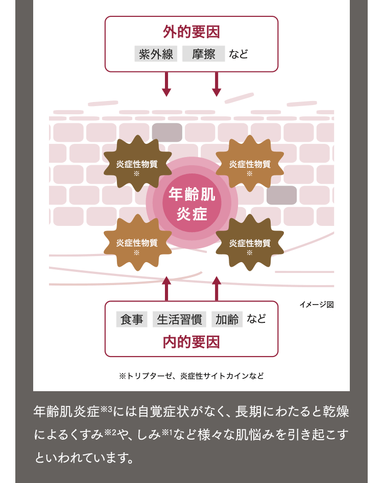 年齢肌炎症※6には自覚症状がなく、長期にわたると乾燥によるシワや、しみ※7など様々な肌悩みを引き起こすといわれています。