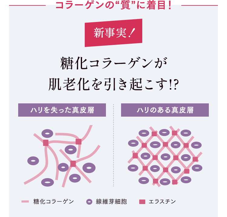 コラーゲンの“質”に着目!新事実!糖化コラーゲンが肌老化を引き起こす!?