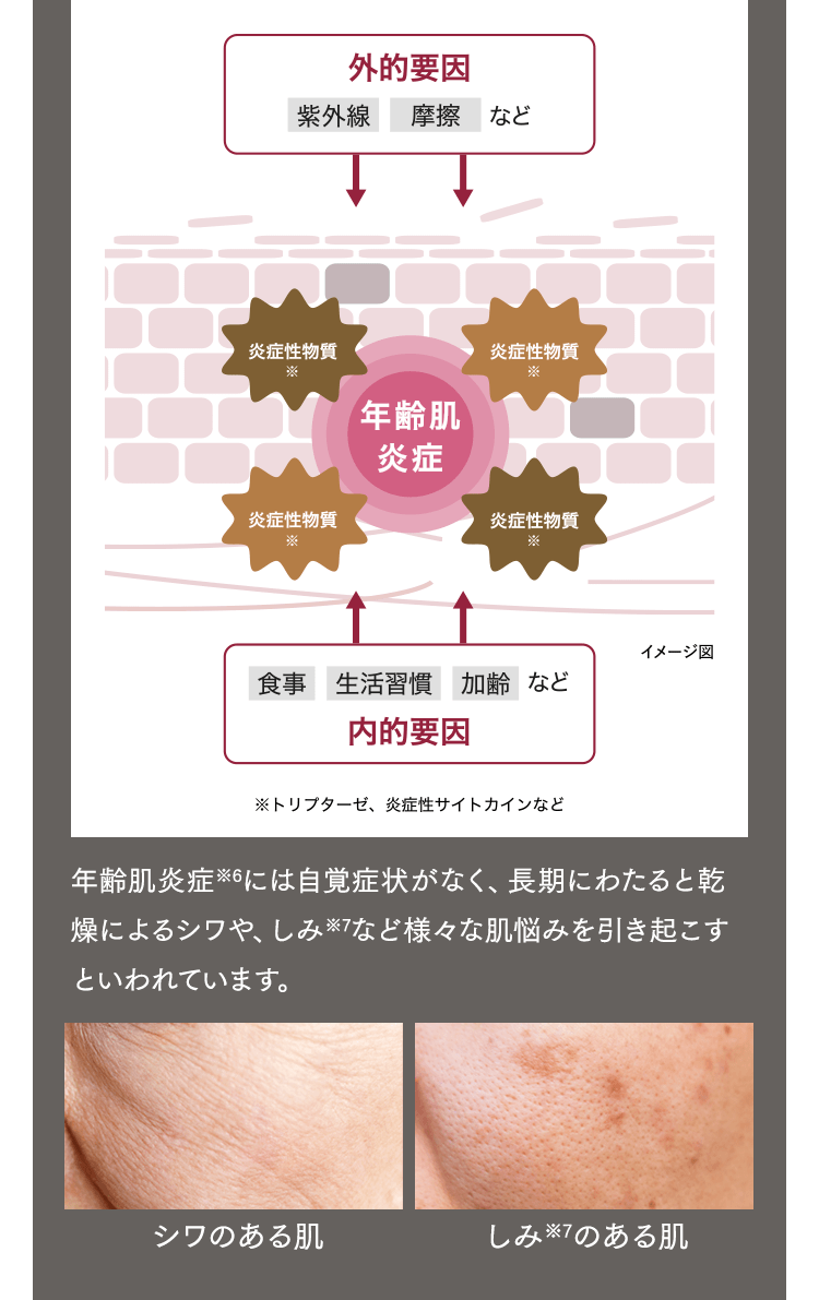 年齢肌炎症※6には自覚症状がなく、長期にわたると乾燥によるシワや、しみ※7など様々な肌悩みを引き起こすといわれています。