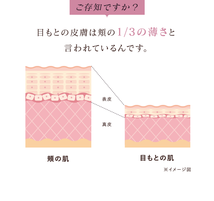 ご存知ですか？目もとの皮膚は頬の1/3の薄さと言われているんです。