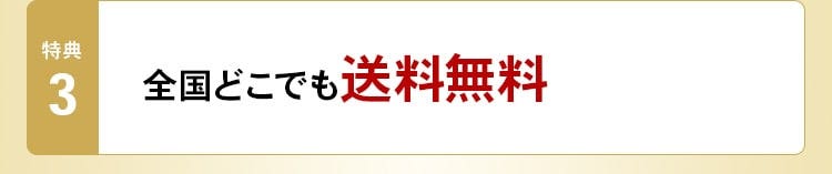 特典3 全国どこでも送料無料