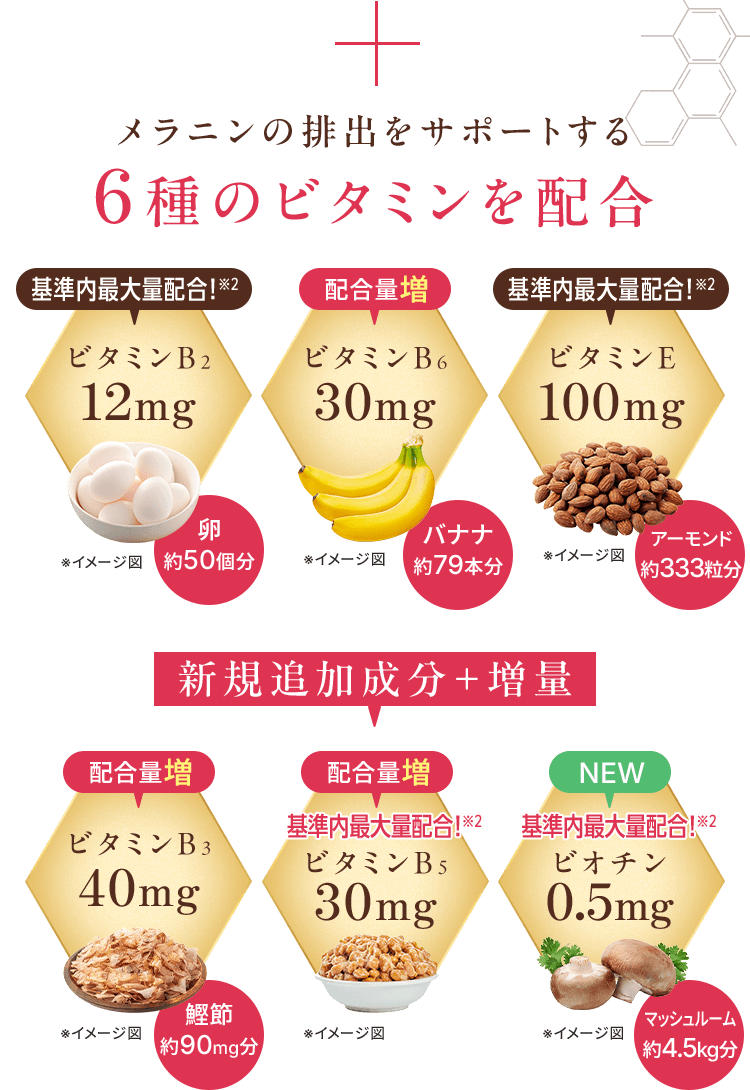 メラニンの排出をサポートする 6種のビタミンを配合 基準内最大量配合!※2 ビタミンB2 12mg 卵 約50個分 配合量増 ビタミンB6 30mg バナナ 約79本分 基準内最大量配合!※2 ビタミンE 100mg アーモンド 約333粒分 新規追加成分＋増量 配合量増 ビタミンB3 40mg 鰹節 約90mg分 配合量増 基準内最大量配合!※2 ビタミンB5 30mg NEW 基準内最大量配合!※2 ビオチン 0.5mg マッシュルーム 約4.5kg分