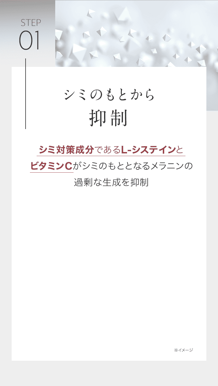 Step01 シミのもとから抑制 シミ対策成分であるL-システインとビタミンCがシミのもととなるメラニンの過剰な生成を抑制