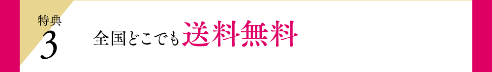 特典3 全国どこでも送料無料