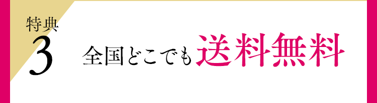 特典3 全国どこでも送料無料