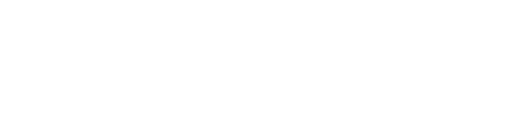 新発売 NEW