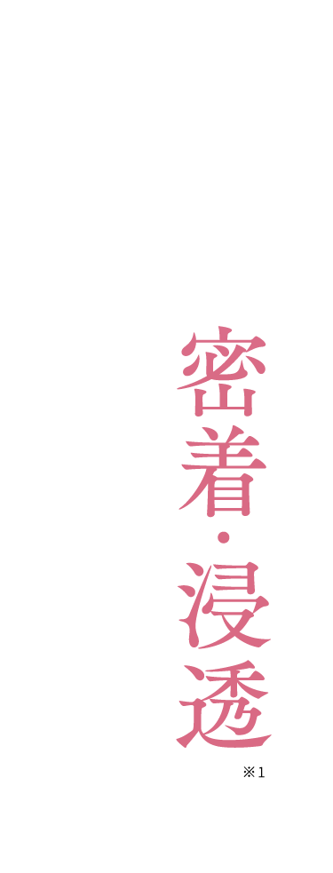 密着・浸透※1