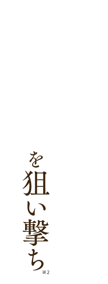 シミの根本を狙い撃ち※2