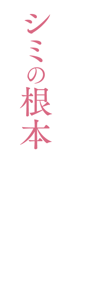 シミの根本