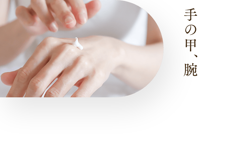 手の甲、腕