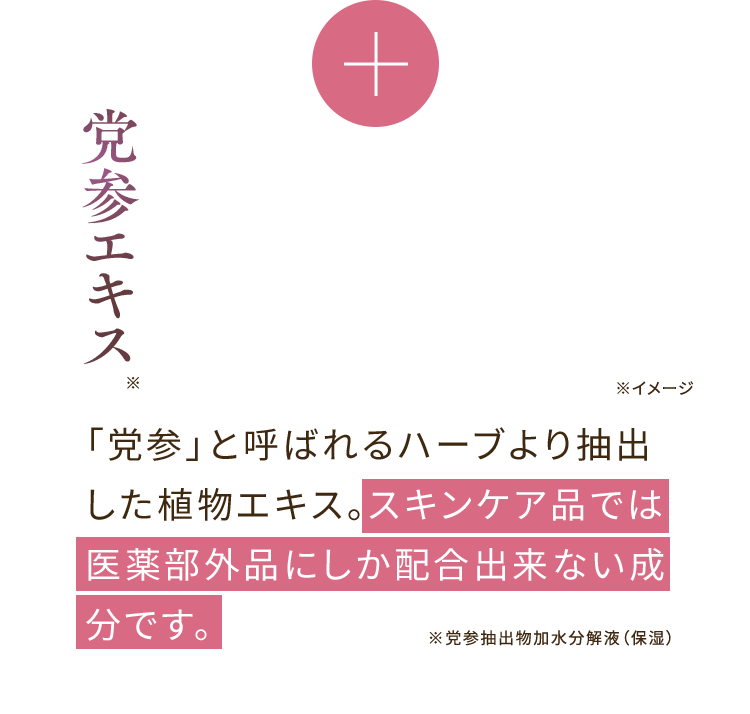 ＋ 党参エキス※ 「党参」と呼ばれるハーブより抽出した植物エキス。スキンケア品では医薬部外品にしか配合出来ない成分です。 ※党参抽出物加水分解液（保湿）