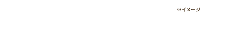 ※イメージ図