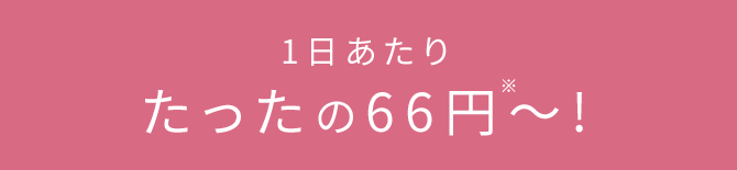 1日あたり たったの66円※〜!