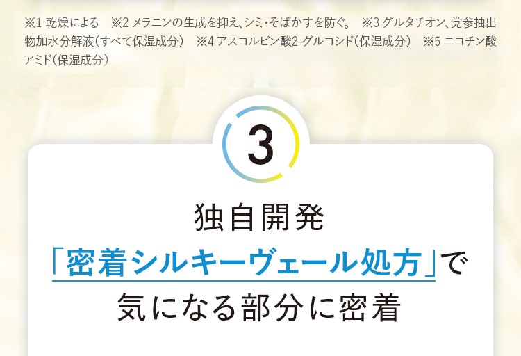 3 独自開発「密着シルキーヴェール処方」で気になる部分に密着