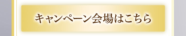 キャンペーン会場はこちら
