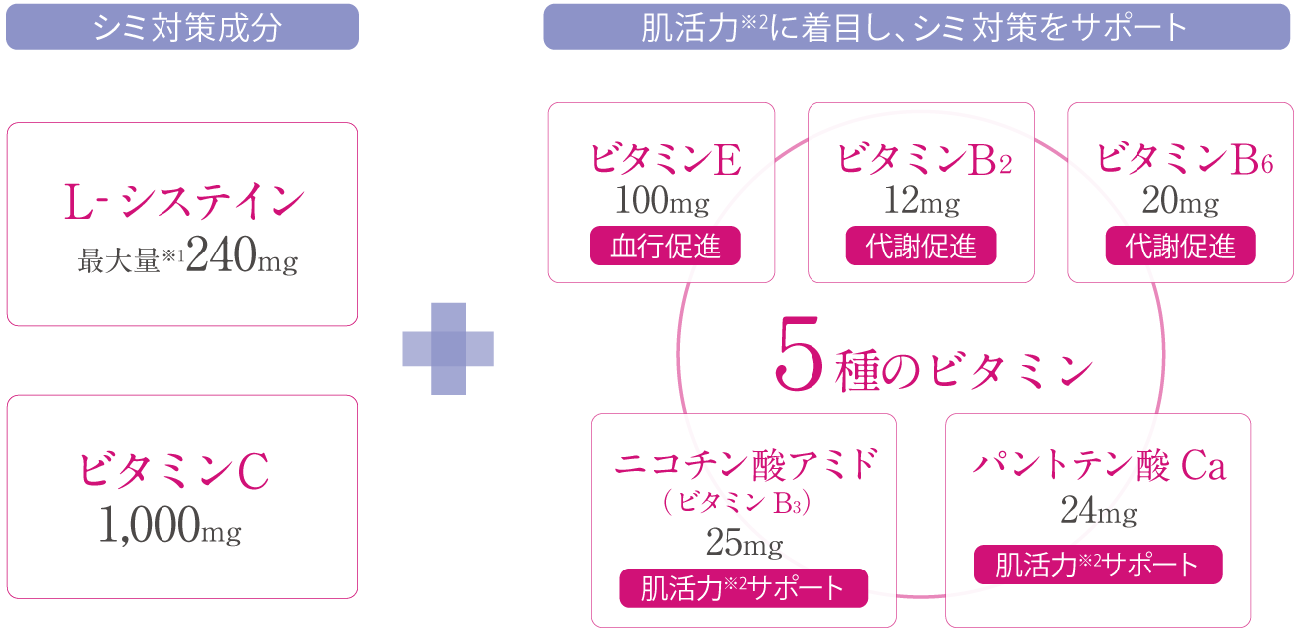 Point1　第一三共ヘルスケア独自のシミ対策処方