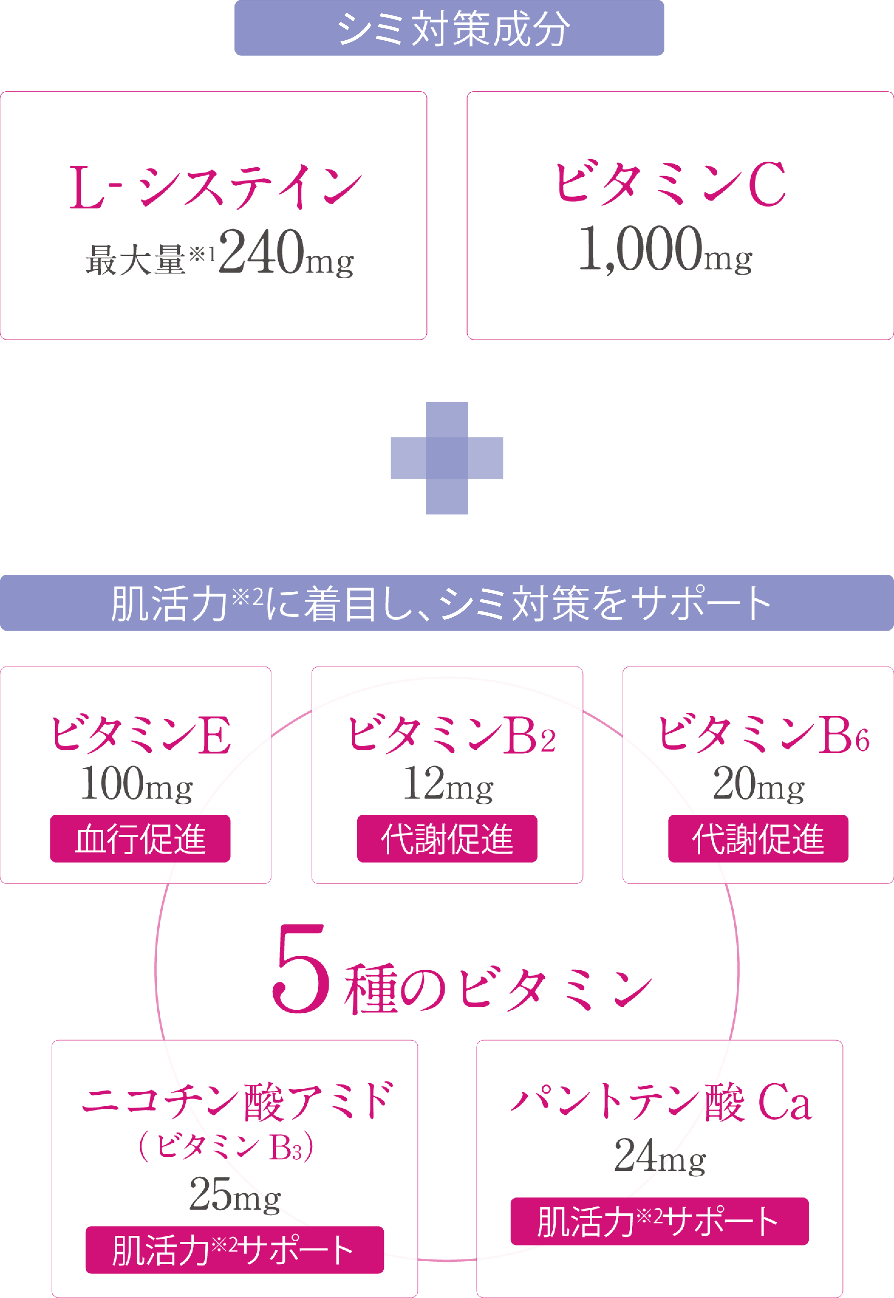 Point1　第一三共ヘルスケア独自のシミ対策処方