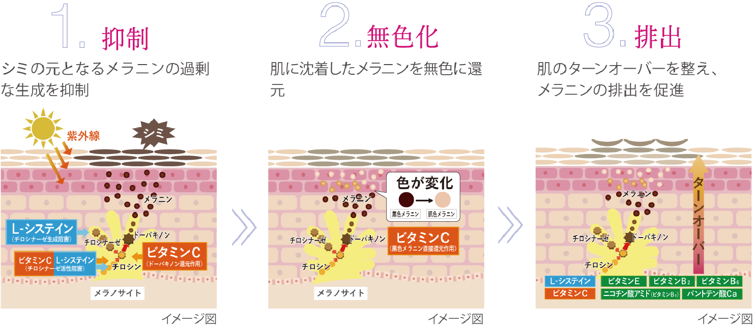 Point2　３つのステップでシミに徹底アプローチ