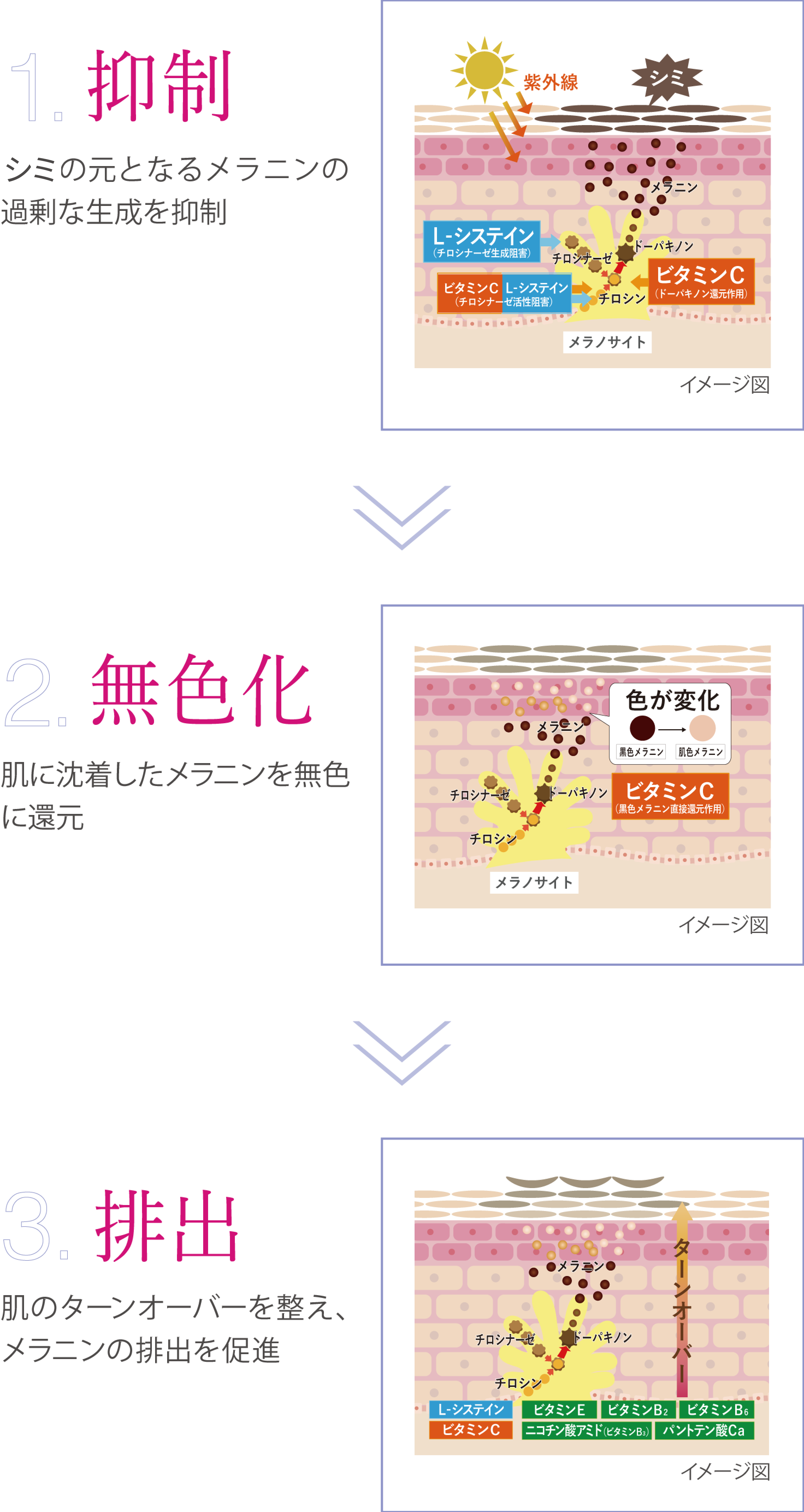 Point2　３つのステップでシミに徹底アプローチ
