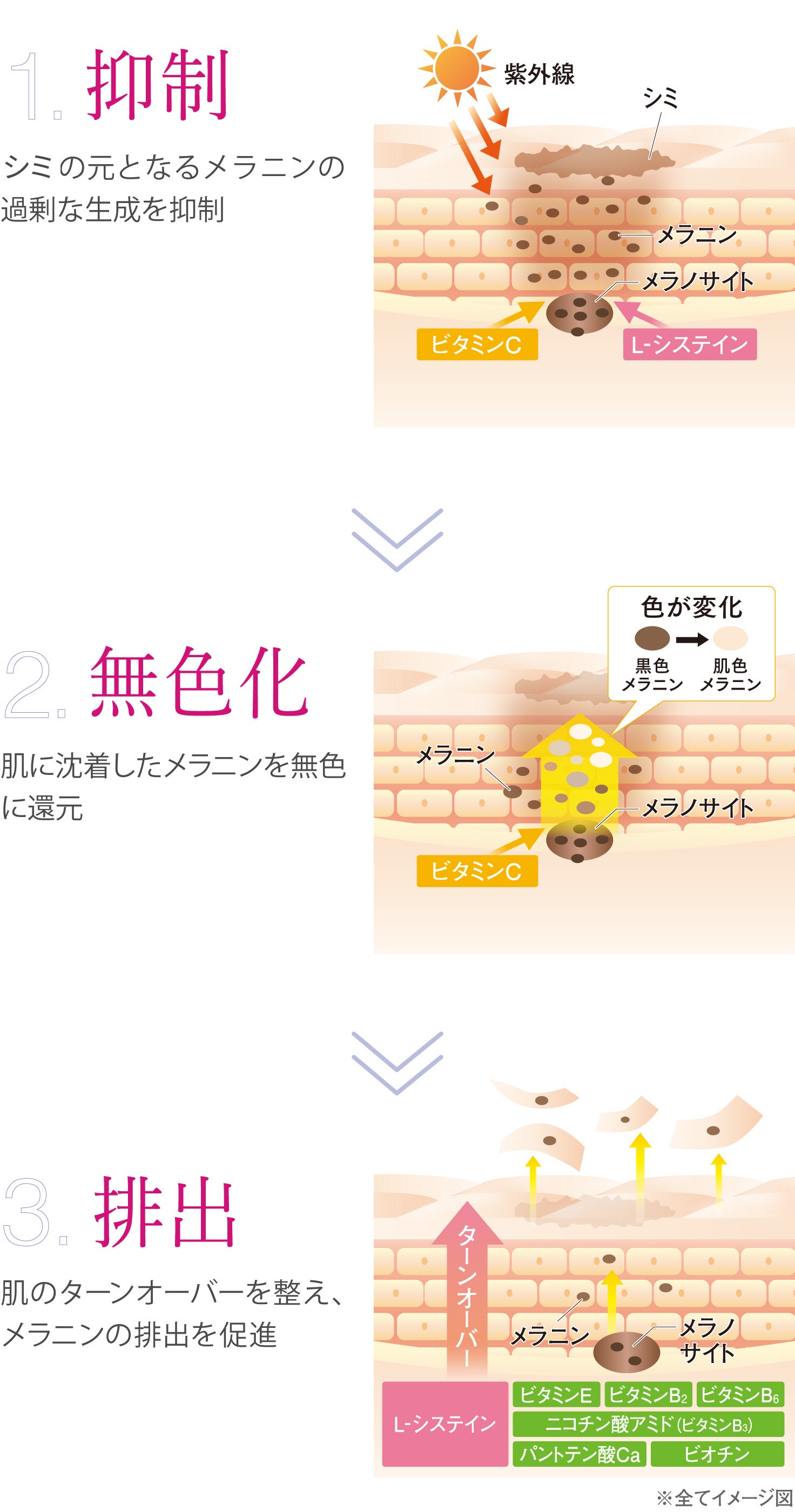 Point2　3ステップで徹底アプローチ