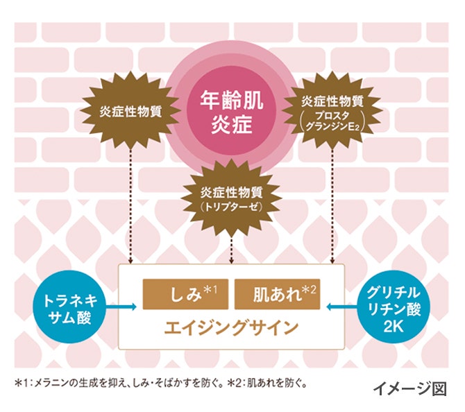 トラネキサム酸のメラニン生成へのシグナルをブロックする仕組み
