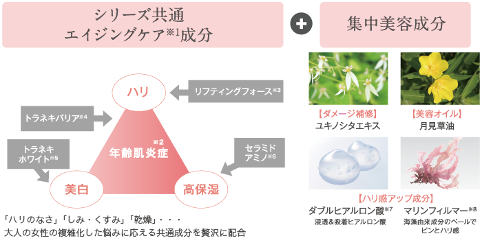 シリーズ共通 エイジングケア成分+集中美容成分