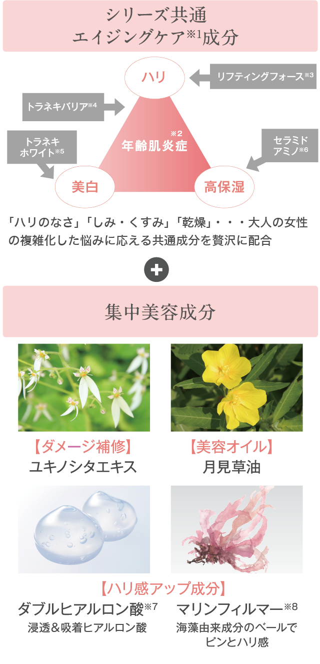 シリーズ共通 エイジングケア成分+集中美容成分