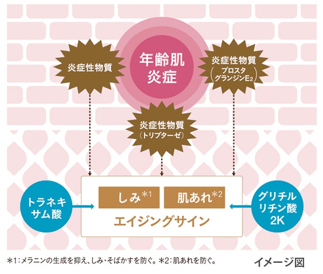 肌荒れイメージ図