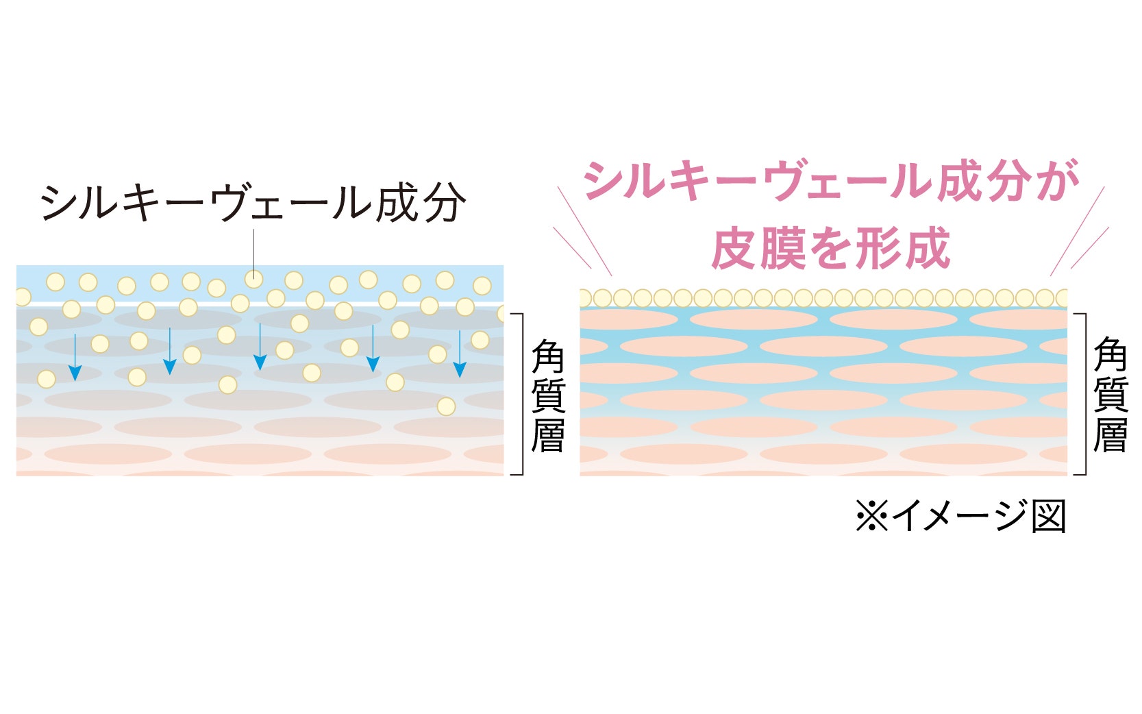 Point3　独自開発の密着シルキーヴェール処方