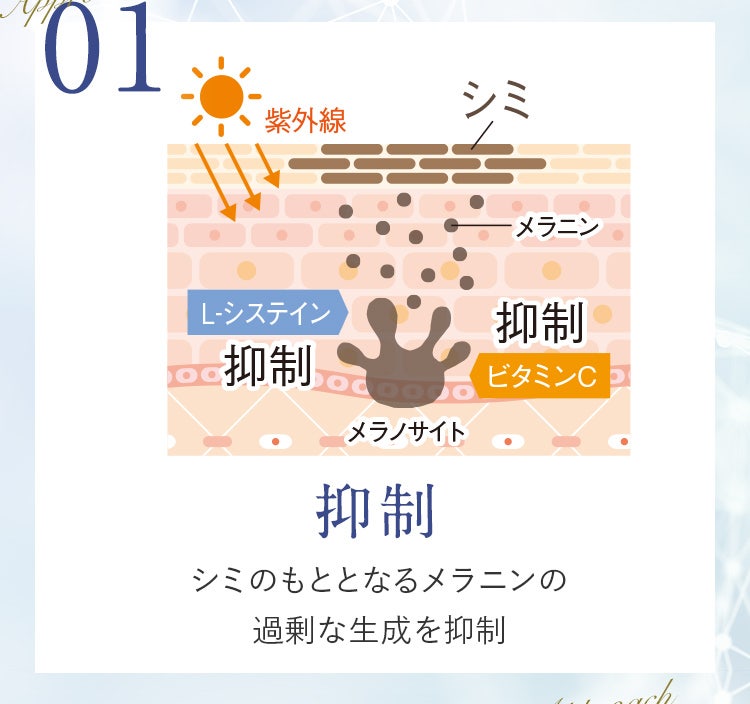 01 抑制 シミのもととなるメラニンの過剰な生成を抑制