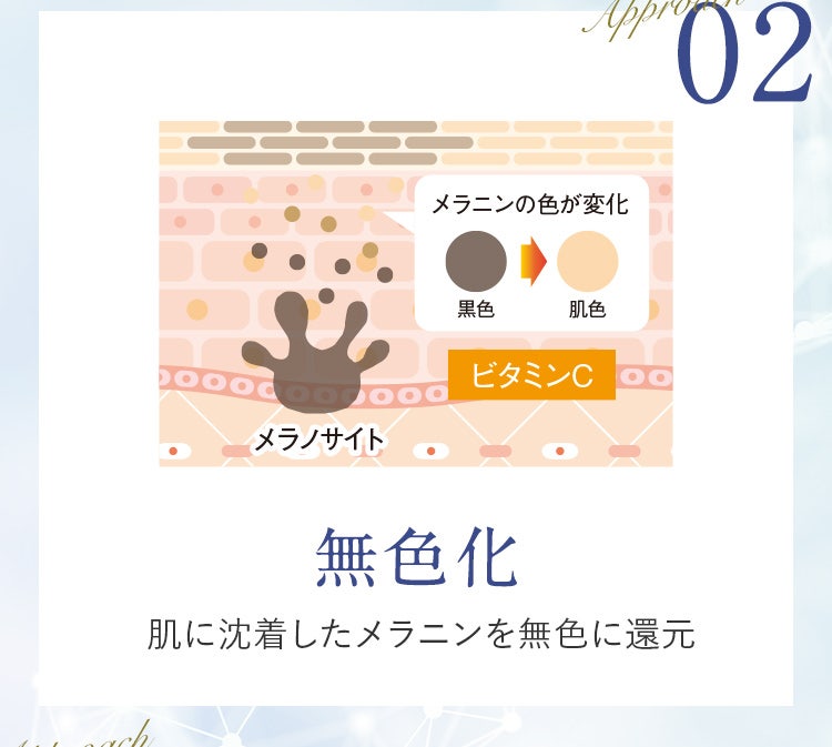 02 無色化 肌に沈着したメラニンを無色に還元