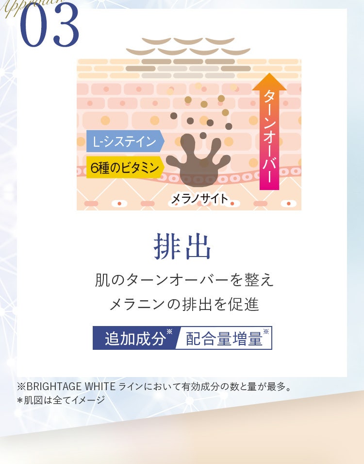 03 排出 肌のターンオーバーを整えメラニンの排出を促進